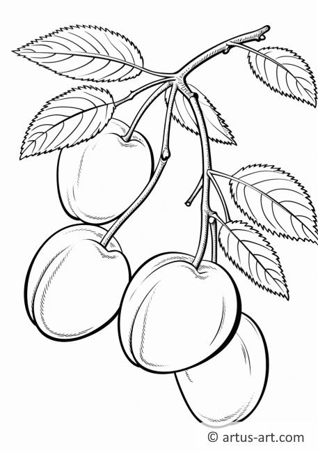 Single Plum Coloring Page Coloring Page